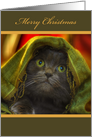 Merry Christmas-Cat card