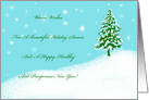 Christmas Holiday Greetings-Snow Scene card