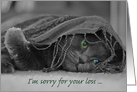 Loss of Cat Sympathy-Cat card