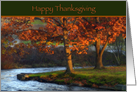 Happy Thanksgiving-Autumn Trees card