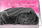 Valentine’s Day-grey cat card
