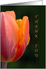 Thank you for the gift- Pink Tulip card