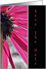 Save the Date-Pink Cone flower card
