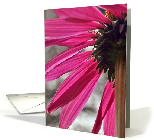 Blank Card-Flower card (815126)