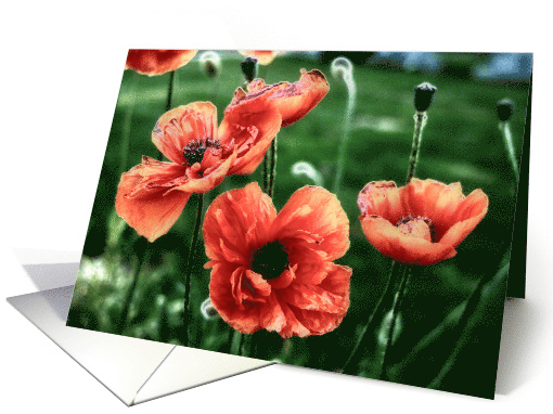 Blank Card-Flower card (815130)