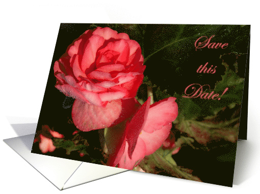 Save the Date-Roses card (823173)