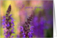 I miss you-Lupine...