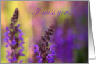 I miss you-Lupine flowers card