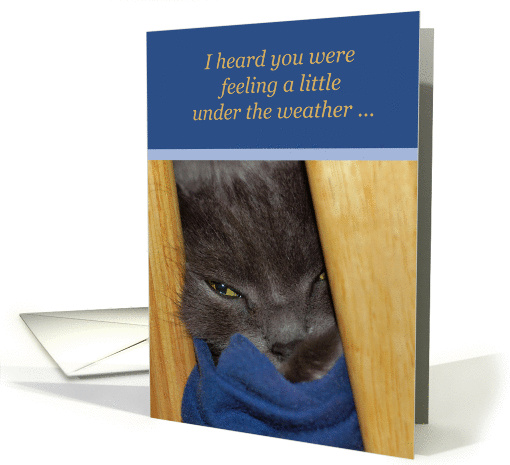 Get Well-Grey Cat Under the Weather card (843761)