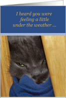 Get Well-Grey Cat Under the Weather card