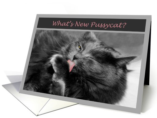 Get Well-Grey cat card (846655)