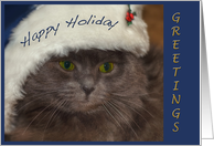 Happy Holiday-Hanukkah-grey cat card