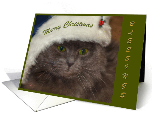 Merry Christmas-grey cat card (848168)