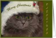 Merry Christmas-grey cat card