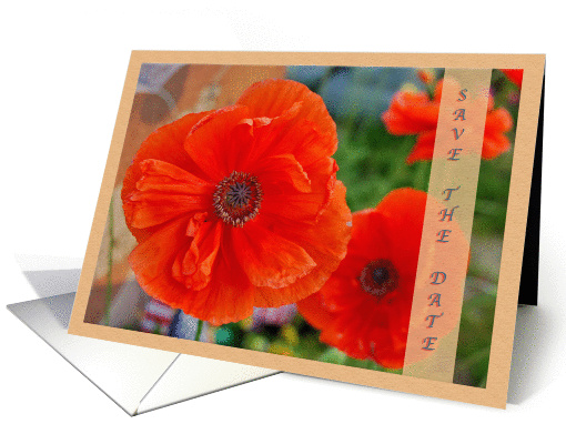 Save the Date-Poppies card (854597)