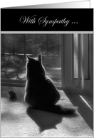 With Sympathy-loss of pet-grey cat card