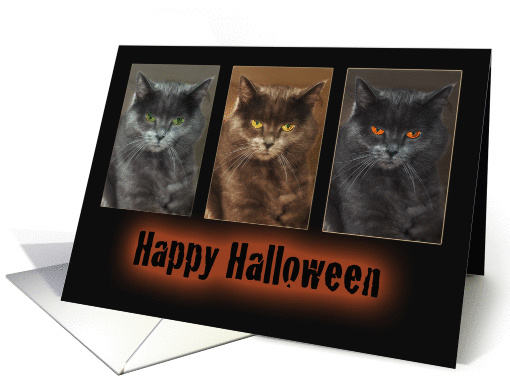 Cat-Halloween card (861668)