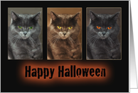 Cat-Halloween Card