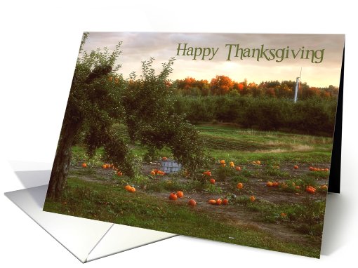 Happy Thanksgiving-Farm card (868579)