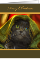 Merry Christmas-Cat card
