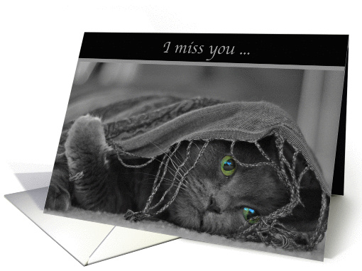 I miss you-Cat card (874793)