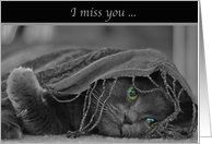 I miss you-Cat card