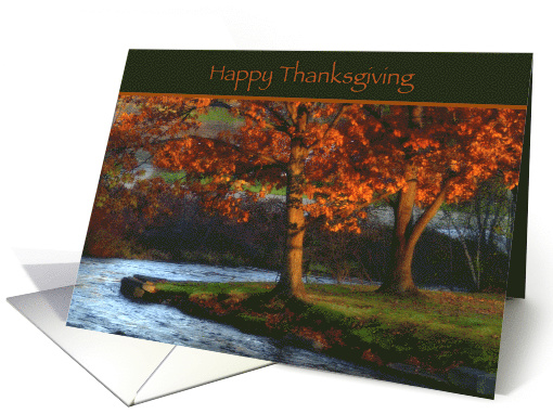Happy Thanksgiving-Autumn Trees card (878964)