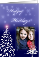 Happy Holidays Photo Card-Pine trees card