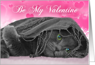 Valentine’s Day-grey cat card