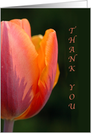 Thank you for the gift- Pink Tulip card
