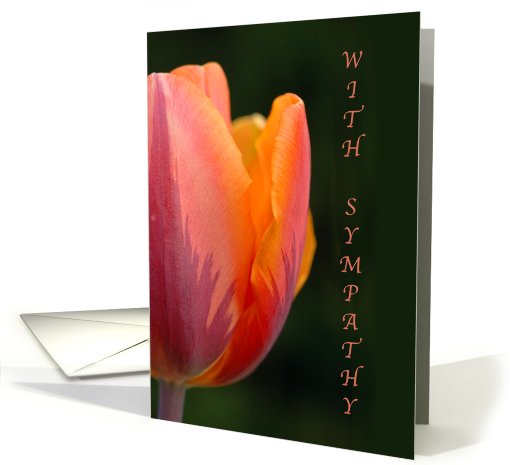 Sympathy-Pink Tulip card (891670)