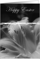 Happy Easter-Lily card