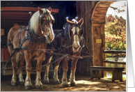 Autumn-horses card