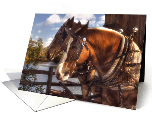 Autumn-horses card (920130)