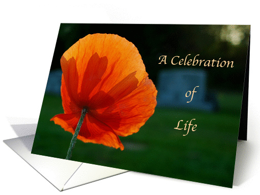 Orange Poppy-Celebration of Life Memorial Invitation card (921753)