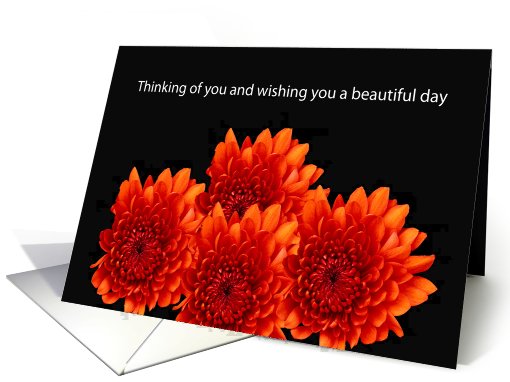 Beautiful Days card (815511)