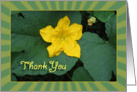 Thank You - Single Yellow Flower - Garden card