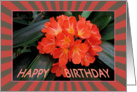 Red Flower - Birthday - Single Red Flower - Exotic Plant card