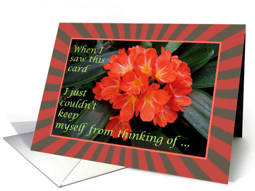 Red Flower -Thinking of You - Single Red Flower - keep in touch card