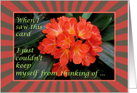 Red Flower -Thinking of You - Single Red Flower - keep in touch card