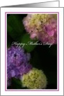 Happy Mother’s Day, Painted Hydrangea Flowers card