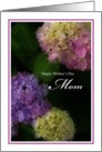 Happy Mother’s Day Mom, Painted Hydrangea Flowers card