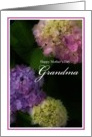 Happy Mother’s Day Grandma, Painted Hydrangea Flowers card