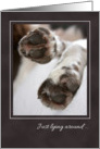 Just Lying Around Missing You, Dog Paws card