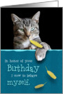 Humorous Birthday Card with Naughty Cat card