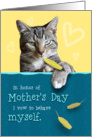 Humorous Mother’s Day Card with Naughty Cat card