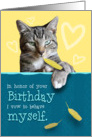 Humorous Birthday Card with Naughty Cat card