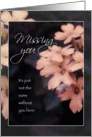 Miss / Missing You, Peach Garden Phlox card
