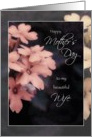 Mother’s Day Card for Wife, Peach Garden Phlox Flowers card