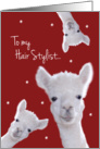 Hair Stylist, Warm Fuzzy Llama Christmas card